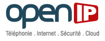 Openip logo.png