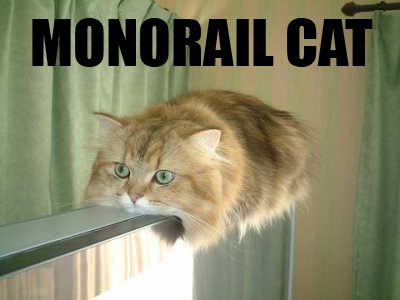 File:Monorail-cat.jpg