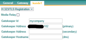 Config voip.png