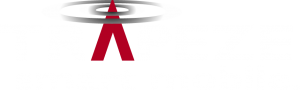 TZ logo 2c grad rev.png