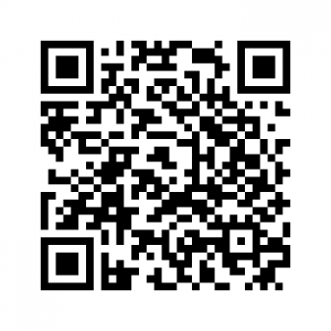 Qr v11betaforum.png