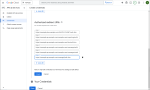 GoogleRedirectURIs.png