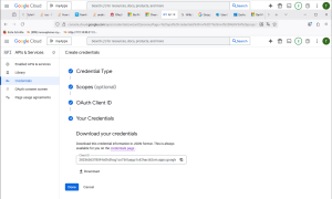 GoogleClientCredentialsDownload.png