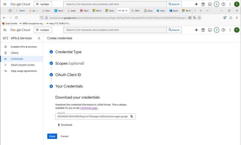 File:GoogleClientCredentialsDownload.png
